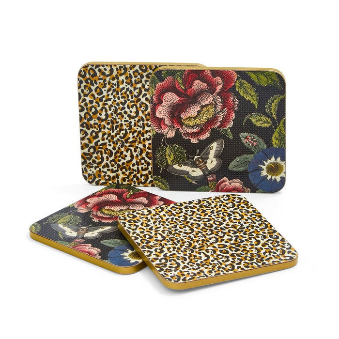 Creatures of Curiosity Set of 6 Coasters