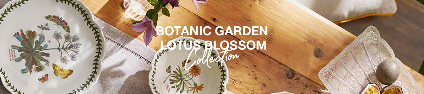 Botanic Garden Lotus Blossom