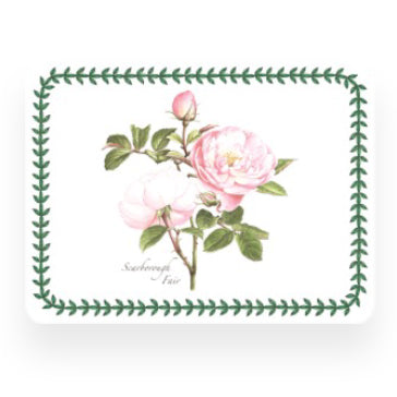 Botanic Roses Placemats Set of 6