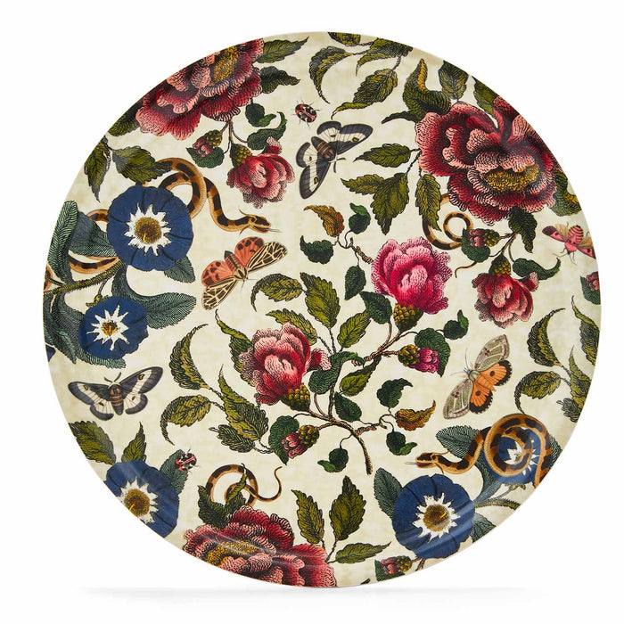 Creatures of Curiosity Set of 3 Trays
