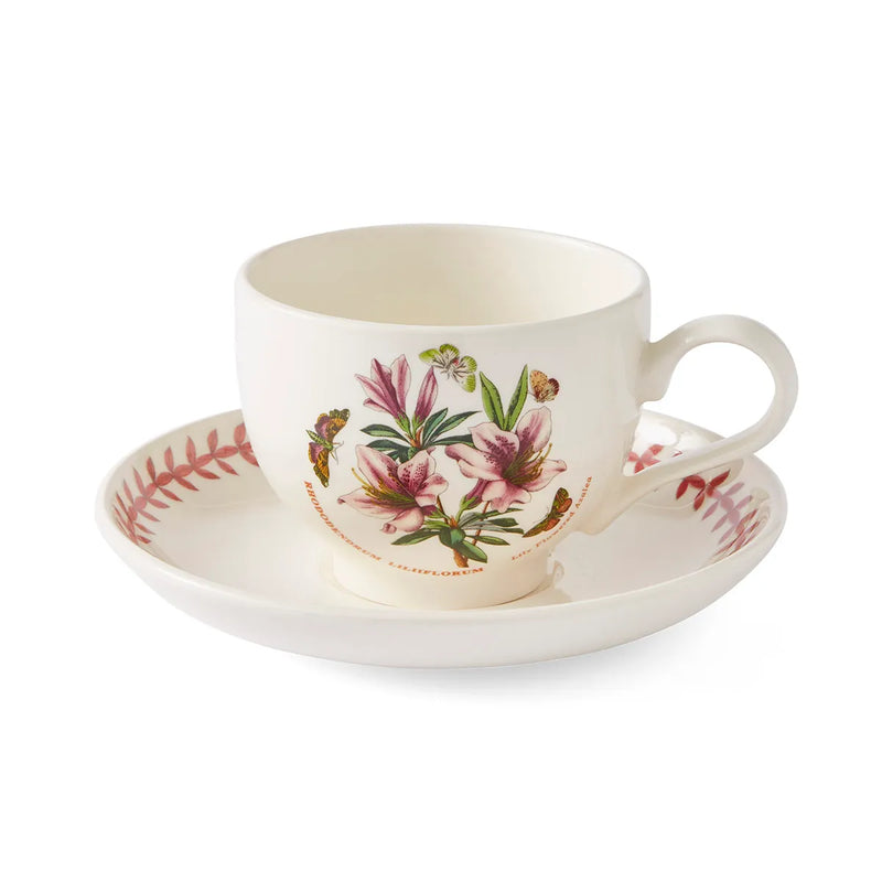 Botanic Garden Meadow Breakfast Teacup &amp; Saucer, Azalea