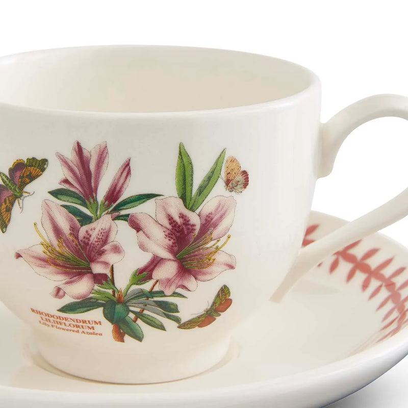 Botanic Garden Meadow Teacup & Saucer, Azalea