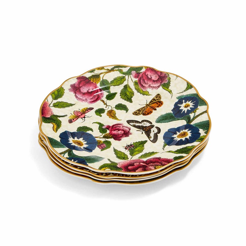 Creatures of Curiosity Dessert Plates Set of 4