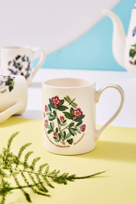 Botanic Garden Set of 6 Coffee Mugs