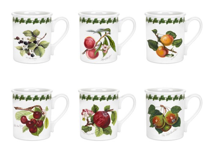 Pomona Set of 6 Breakfast Mugs