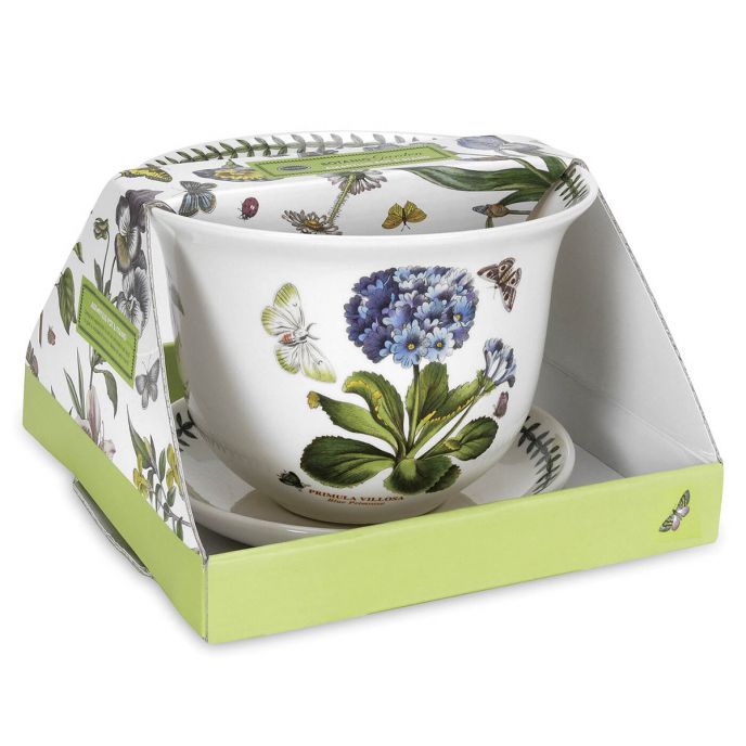 Botanic Garden Amaryllis Pot &amp; Stand