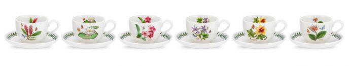 Exotic Botanic Garden Teacup &amp; Saucer Set