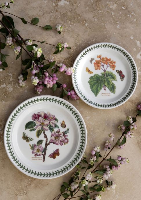 Botanic Garden Flowering Almond Dinner Plates 