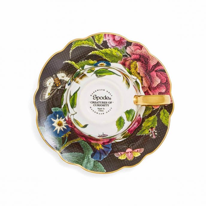 Creatures of Curiosity Dark Teacup &amp; Saucer