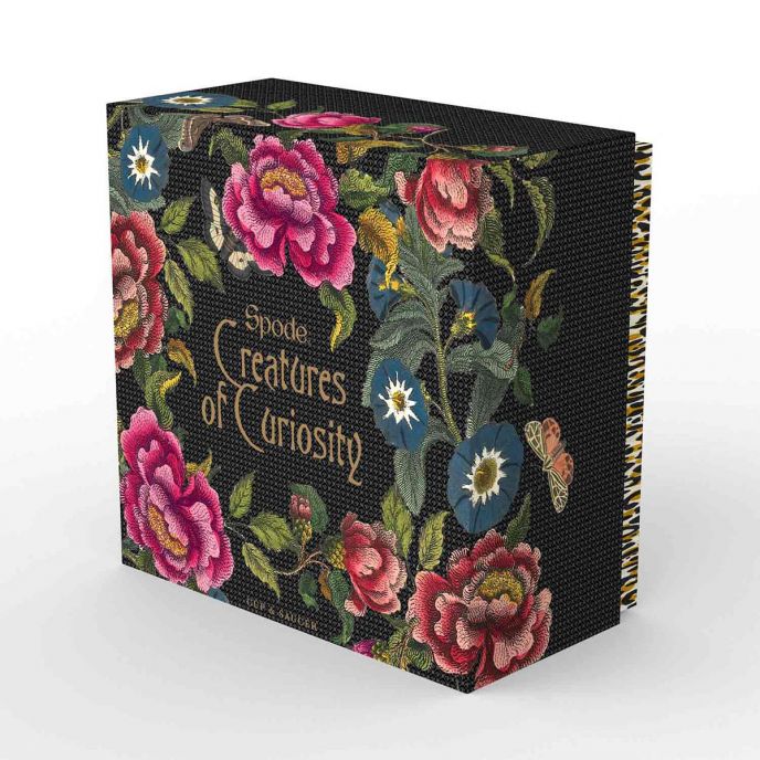 Creatures of Curiosity Dark Teacup &amp; Saucer