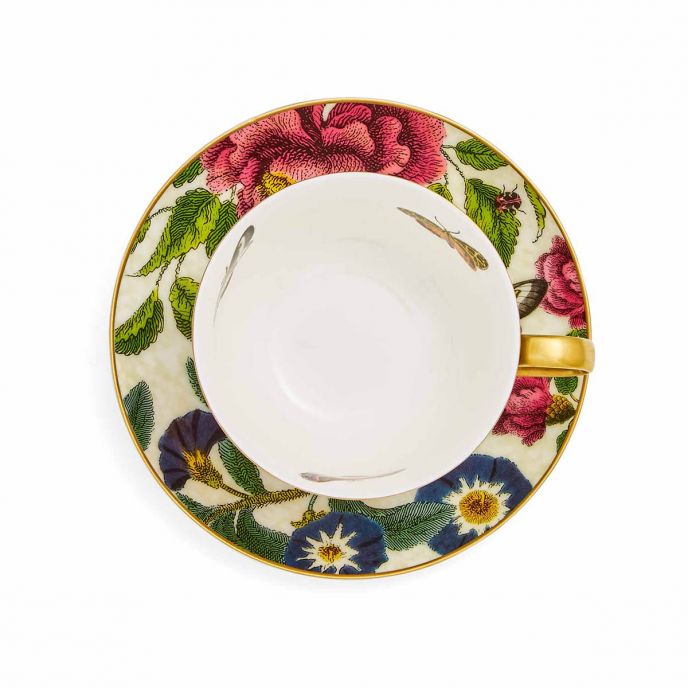 Creatures of Curiosity Dark Teacup &amp; Saucer