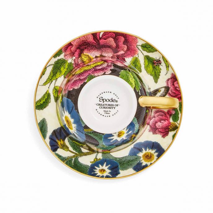 Creatures of Curiosity Dark Teacup &amp; Saucer