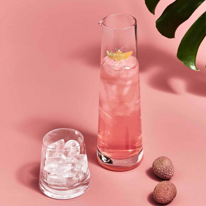 Creatures of Curiosity Carafe &amp; Tumbler Set