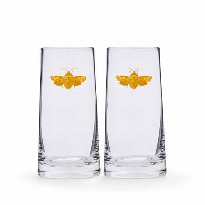 Creatures of Curiosity Highball Glass Set