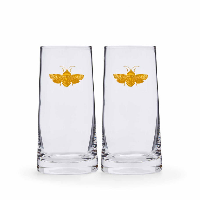 Creatures of Curiosity Highball Glass Set